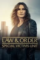 Poster for Law & Order: Special Victims Unit